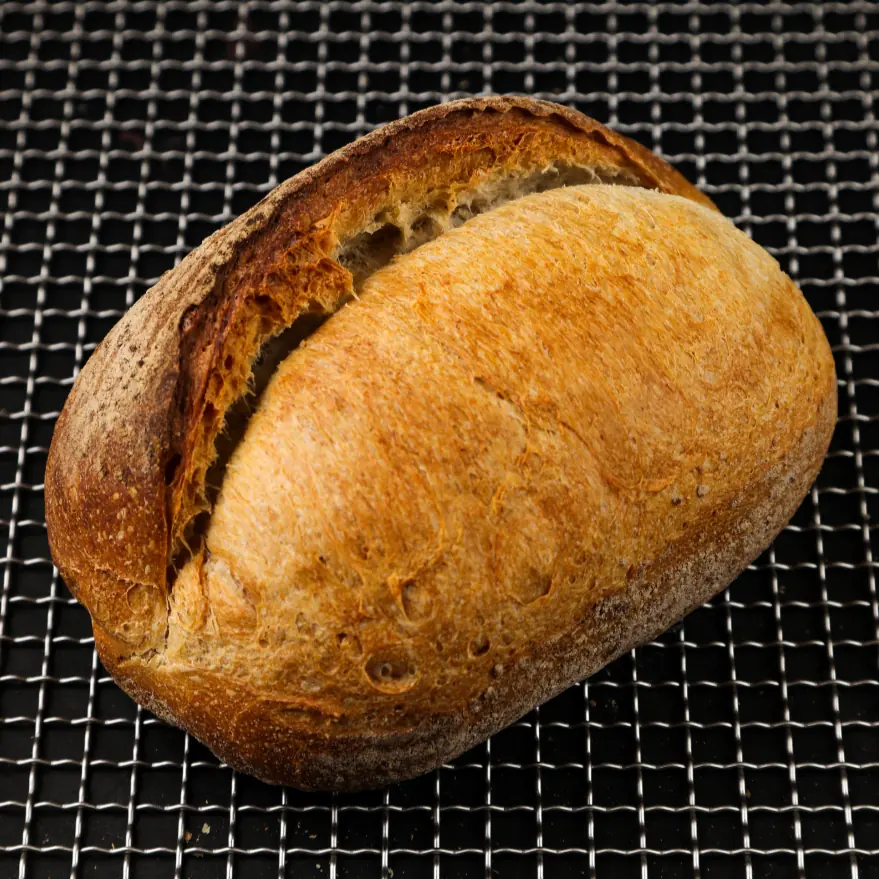 Sourdough