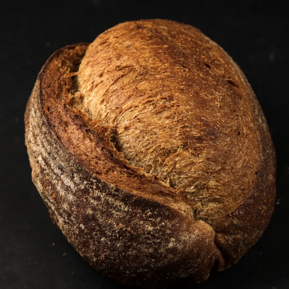 Whole Wheat Sourdough